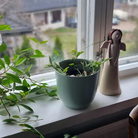 Villa Mukava, Tilava Omakotitalo Laehellae Lentokenttaeae & Laturi Saehkoeautolle Vantaa